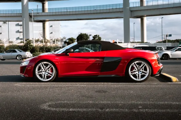 Casino Slots Gallery Android/iOS Forrit